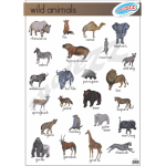 WILD ANIMALS - POSTER   WILD ANIMALS - POSTER